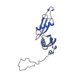 35414_8ife_2M_v1-0
Arbekacin-added human 80S ribosome