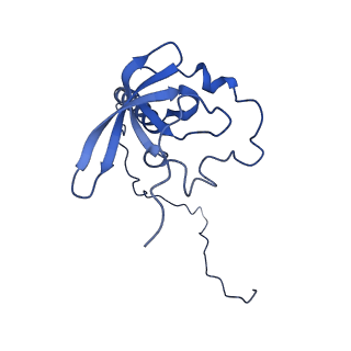 35414_8ife_2N_v1-0
Arbekacin-added human 80S ribosome