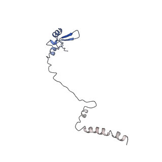 35414_8ife_2Q_v1-0
Arbekacin-added human 80S ribosome