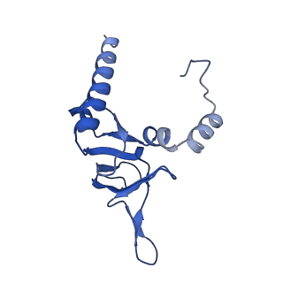 35414_8ife_2S_v1-0
Arbekacin-added human 80S ribosome