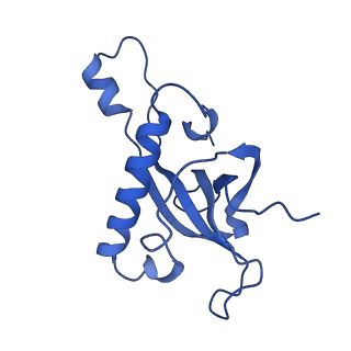 35414_8ife_2T_v1-0
Arbekacin-added human 80S ribosome