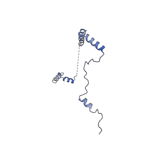 35414_8ife_2V_v1-0
Arbekacin-added human 80S ribosome