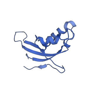 35414_8ife_2X_v1-0
Arbekacin-added human 80S ribosome