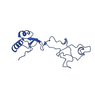 35414_8ife_2Y_v1-0
Arbekacin-added human 80S ribosome