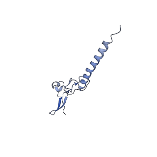 35414_8ife_2a_v1-0
Arbekacin-added human 80S ribosome