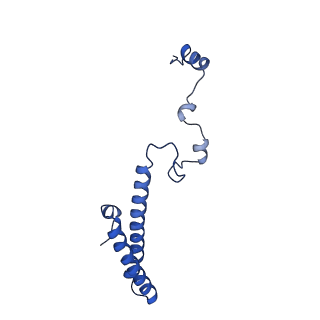 35414_8ife_2b_v1-0
Arbekacin-added human 80S ribosome