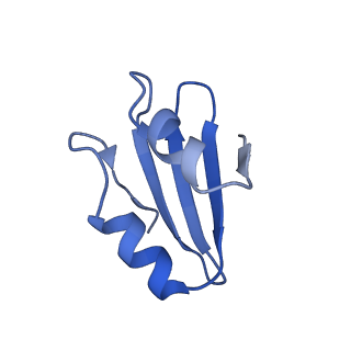 35414_8ife_2e_v1-0
Arbekacin-added human 80S ribosome