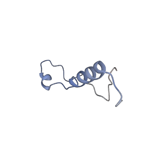 35414_8ife_2f_v1-0
Arbekacin-added human 80S ribosome