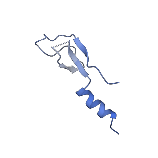 35414_8ife_2g_v1-0
Arbekacin-added human 80S ribosome