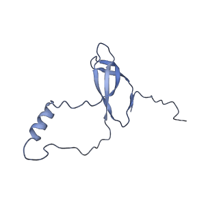 35414_8ife_2i_v1-0
Arbekacin-added human 80S ribosome