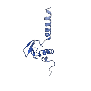 35414_8ife_2j_v1-0
Arbekacin-added human 80S ribosome