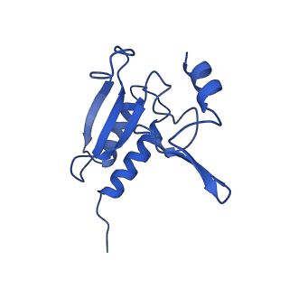 35414_8ife_2k_v1-0
Arbekacin-added human 80S ribosome