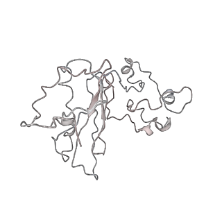 35414_8ife_2l_v1-0
Arbekacin-added human 80S ribosome