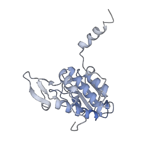 35414_8ife_2n_v1-0
Arbekacin-added human 80S ribosome