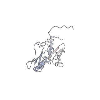 35414_8ife_2p_v1-0
Arbekacin-added human 80S ribosome