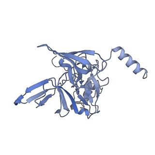 35414_8ife_2q_v1-0
Arbekacin-added human 80S ribosome