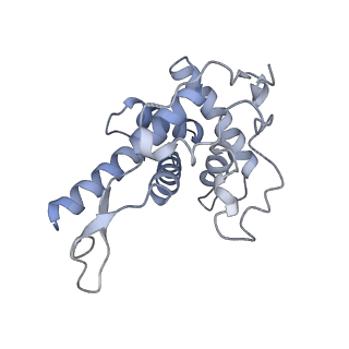 35414_8ife_2r_v1-0
Arbekacin-added human 80S ribosome