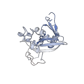 35414_8ife_2s_v1-0
Arbekacin-added human 80S ribosome