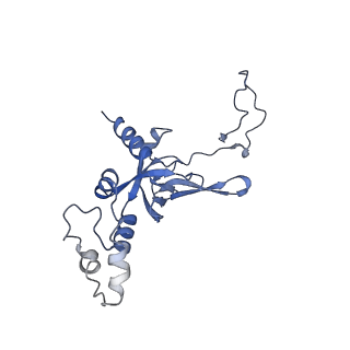 35414_8ife_2t_v1-0
Arbekacin-added human 80S ribosome