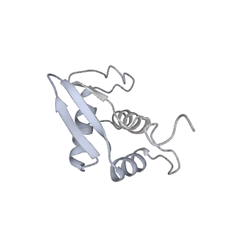 35414_8ife_2u_v1-0
Arbekacin-added human 80S ribosome