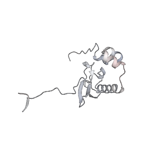 35414_8ife_2w_v1-0
Arbekacin-added human 80S ribosome