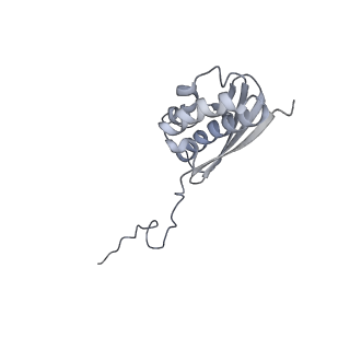 35414_8ife_2x_v1-0
Arbekacin-added human 80S ribosome