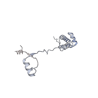 35414_8ife_2y_v1-0
Arbekacin-added human 80S ribosome