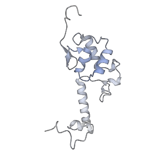 35414_8ife_2z_v1-0
Arbekacin-added human 80S ribosome