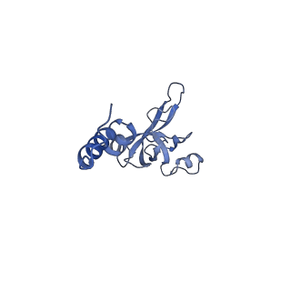 35414_8ife_3B_v1-0
Arbekacin-added human 80S ribosome