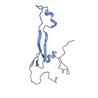 35414_8ife_3C_v1-0
Arbekacin-added human 80S ribosome