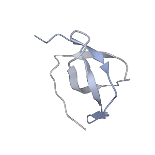 35414_8ife_3D_v1-0
Arbekacin-added human 80S ribosome