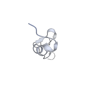 35414_8ife_3E_v1-0
Arbekacin-added human 80S ribosome