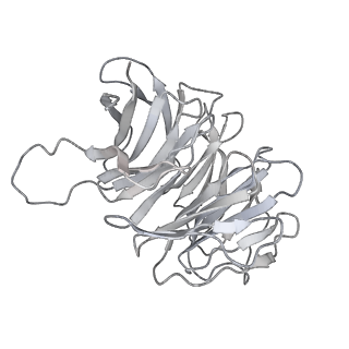 35414_8ife_3F_v1-0
Arbekacin-added human 80S ribosome