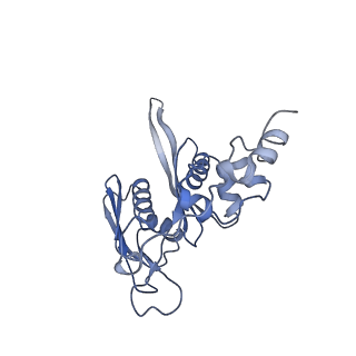 35414_8ife_3G_v1-0
Arbekacin-added human 80S ribosome