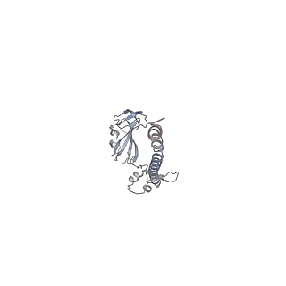 35414_8ife_3H_v1-0
Arbekacin-added human 80S ribosome