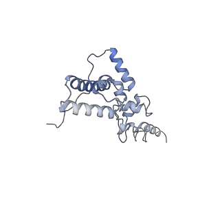 35414_8ife_3I_v1-0
Arbekacin-added human 80S ribosome