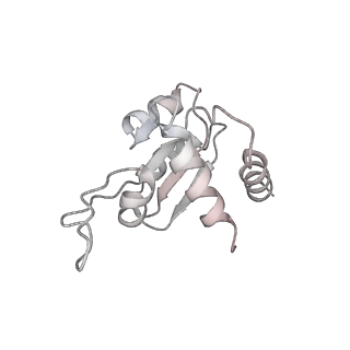 35414_8ife_3J_v1-0
Arbekacin-added human 80S ribosome