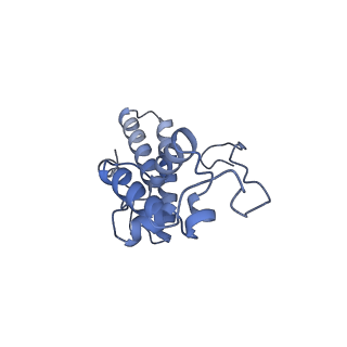 35414_8ife_3K_v1-0
Arbekacin-added human 80S ribosome