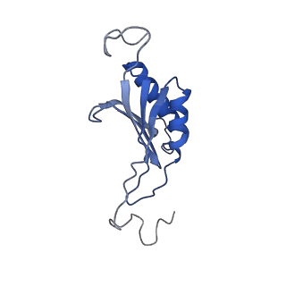 35414_8ife_3L_v1-0
Arbekacin-added human 80S ribosome