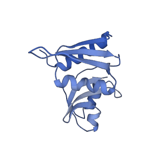 35414_8ife_3M_v1-0
Arbekacin-added human 80S ribosome