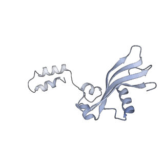 35414_8ife_3N_v1-0
Arbekacin-added human 80S ribosome