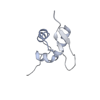 35414_8ife_3O_v1-0
Arbekacin-added human 80S ribosome