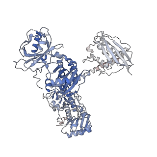 35415_8iff_A_v1-1
Cryo-EM structure of Arabidopsis phytochrome A.