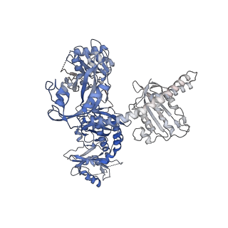 35415_8iff_B_v1-1
Cryo-EM structure of Arabidopsis phytochrome A.