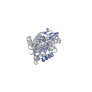 35419_8ifk_A_v1-1
Cryo-EM structure of monomeric SPARTA gRNA-ssDNA target complex