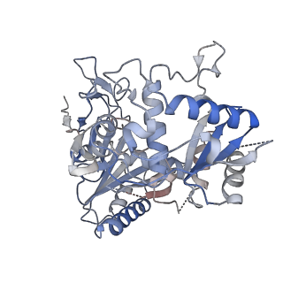 35419_8ifk_B_v1-1
Cryo-EM structure of monomeric SPARTA gRNA-ssDNA target complex