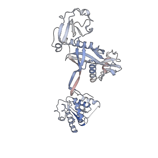 35420_8ifl_A_v1-1
Cryo-EM structure of tetrameric SPARTA gRNA-ssDNA target complex in state 1