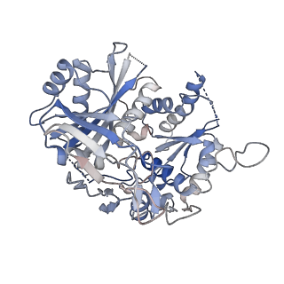 35420_8ifl_B_v1-1
Cryo-EM structure of tetrameric SPARTA gRNA-ssDNA target complex in state 1