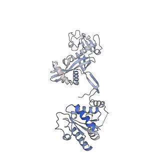 35420_8ifl_F_v1-1
Cryo-EM structure of tetrameric SPARTA gRNA-ssDNA target complex in state 1