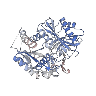 35420_8ifl_G_v1-1
Cryo-EM structure of tetrameric SPARTA gRNA-ssDNA target complex in state 1